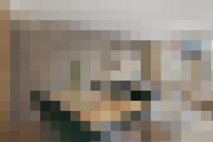 Rhijnauwensingel 93 Rotterdam thumbnail 21