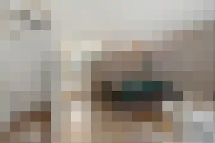 Rhijnauwensingel 93 Rotterdam thumbnail 23