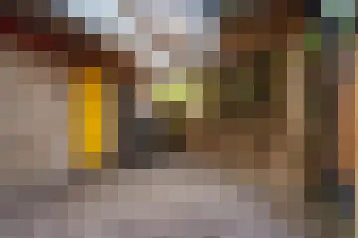 Rhijnauwensingel 93 Rotterdam thumbnail 26