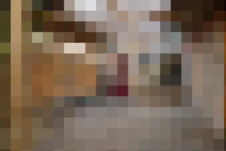 Rhijnauwensingel 93 Rotterdam thumbnail 27