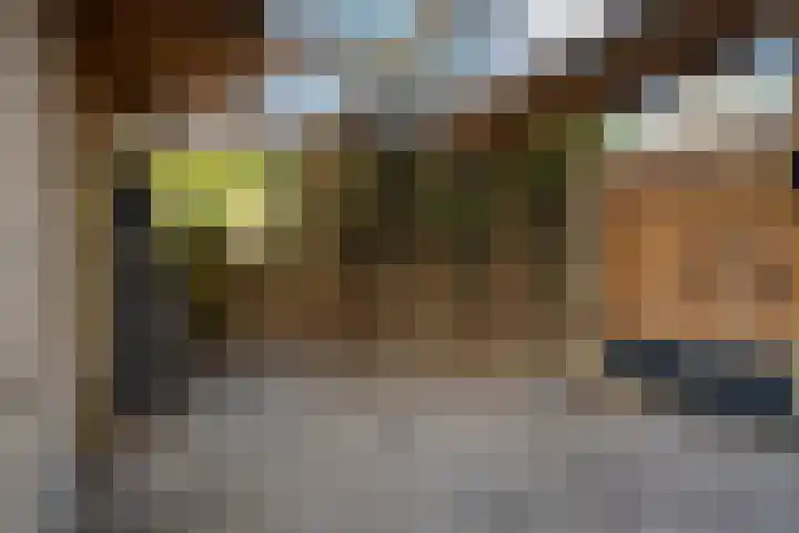 Rhijnauwensingel 93 Rotterdam thumbnail 28