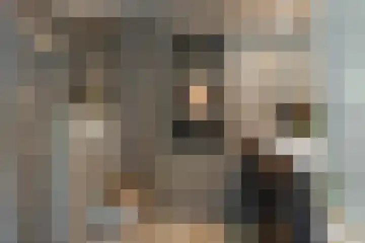 Rhijnauwensingel 93 Rotterdam thumbnail 36
