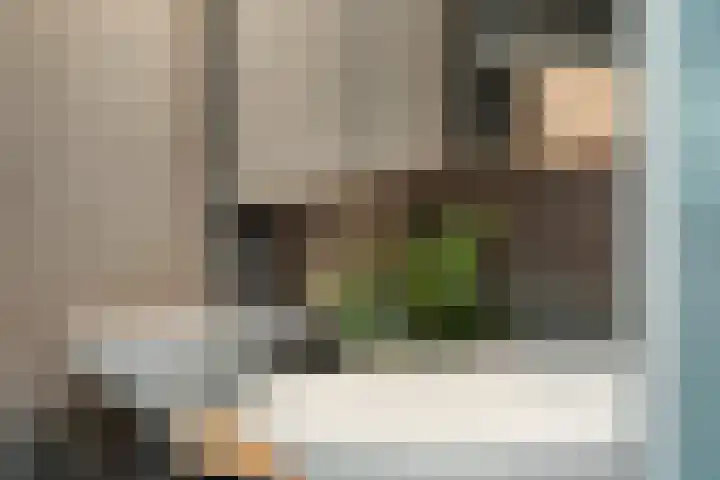 Rhijnauwensingel 93 Rotterdam thumbnail 39