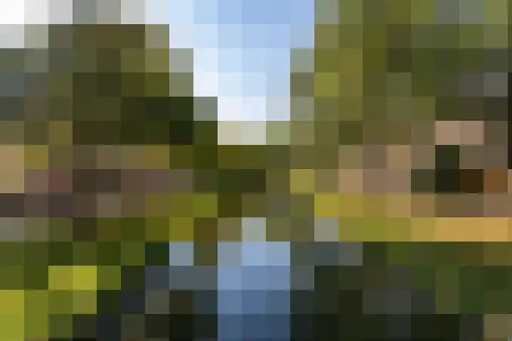Rhijnauwensingel 93 Rotterdam thumbnail 4
