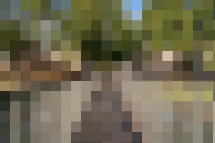 Rhijnauwensingel 93 Rotterdam thumbnail 5
