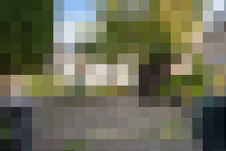 Rhijnauwensingel 93 Rotterdam thumbnail 50