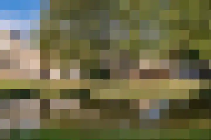 Rhijnauwensingel 93 Rotterdam thumbnail 51