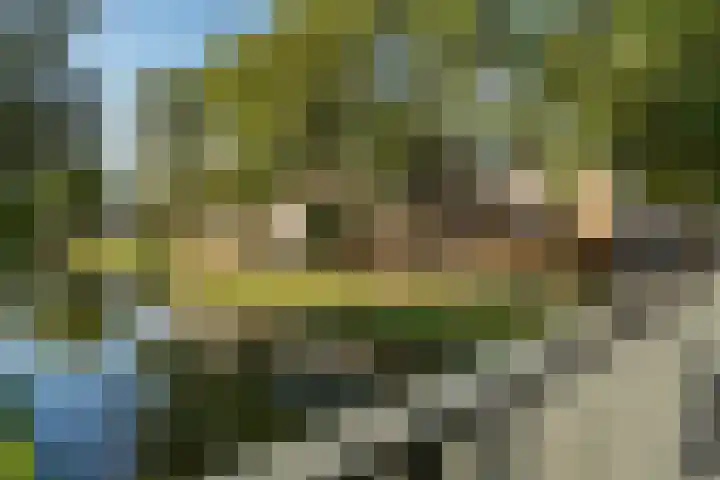 Rhijnauwensingel 93 Rotterdam thumbnail 52