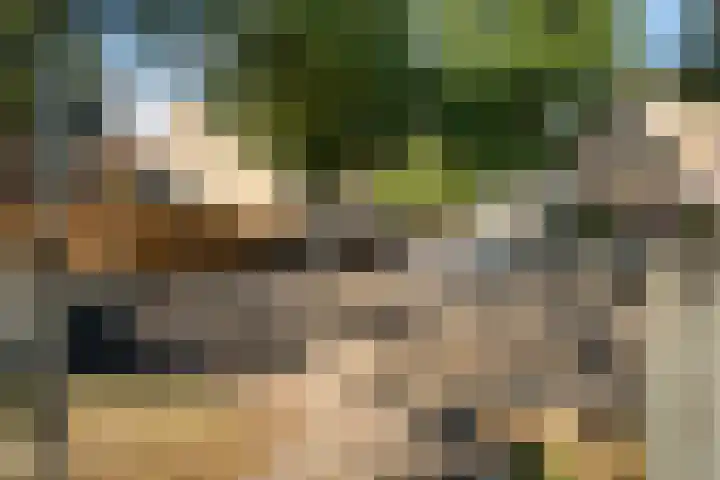 Rhijnauwensingel 93 Rotterdam thumbnail 6