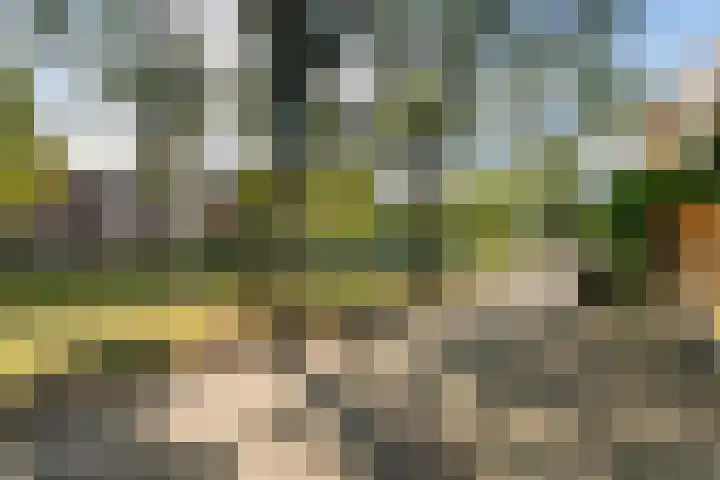 Rhijnauwensingel 93 Rotterdam thumbnail 7