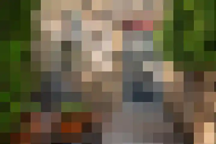 Rhijnauwensingel 93 Rotterdam thumbnail 8