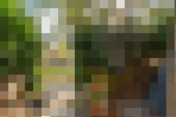 Rhijnauwensingel 93 Rotterdam thumbnail 9