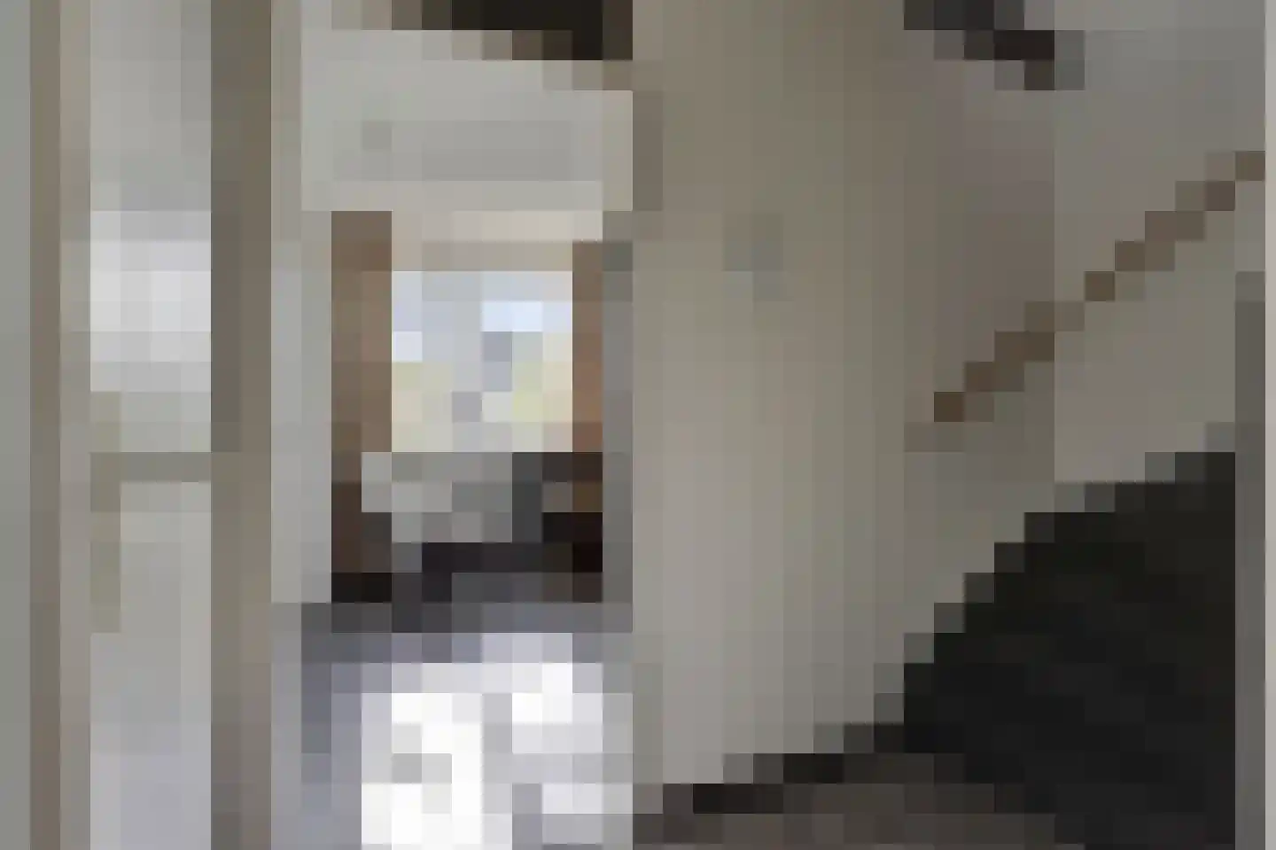 Rhijnauwensingel 95 Rotterdam thumbnail 19
