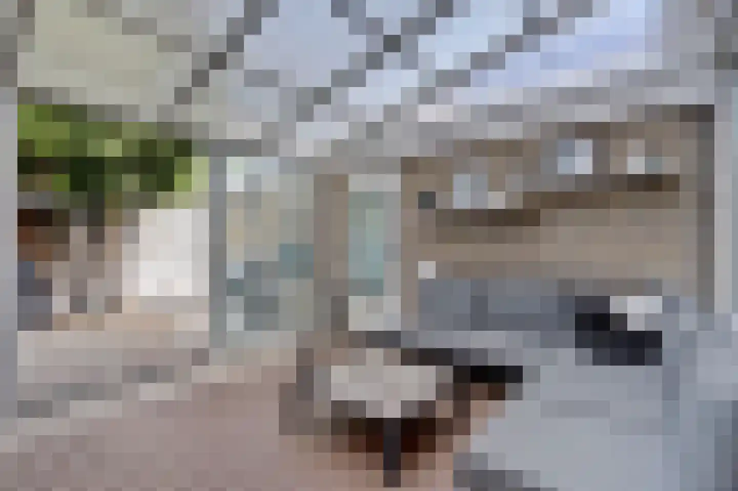 Rhijnauwensingel 95 Rotterdam thumbnail 30