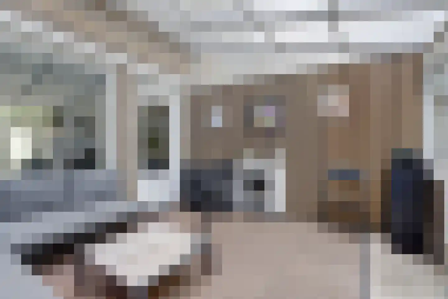 Rhijnauwensingel 95 Rotterdam thumbnail 31