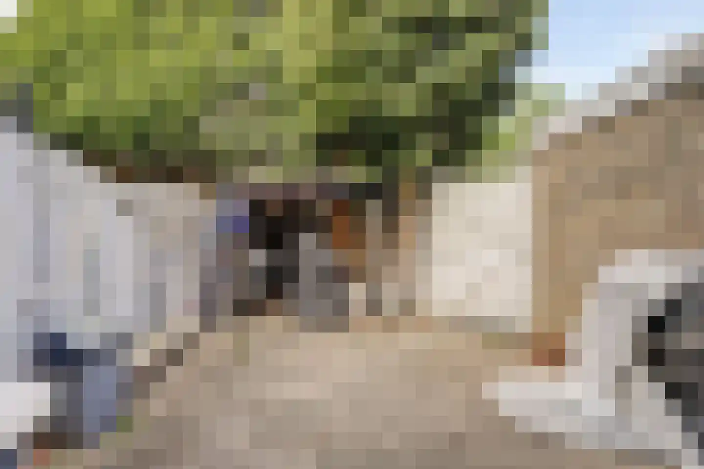 Rhijnauwensingel 95 Rotterdam thumbnail 32