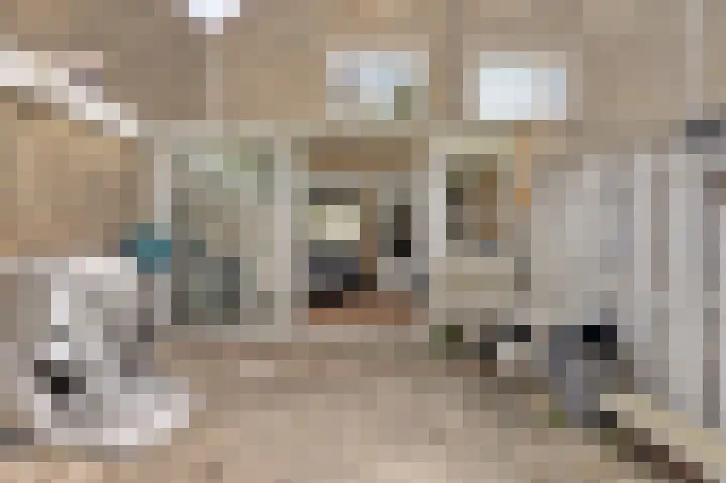 Rhijnauwensingel 95 Rotterdam thumbnail 34