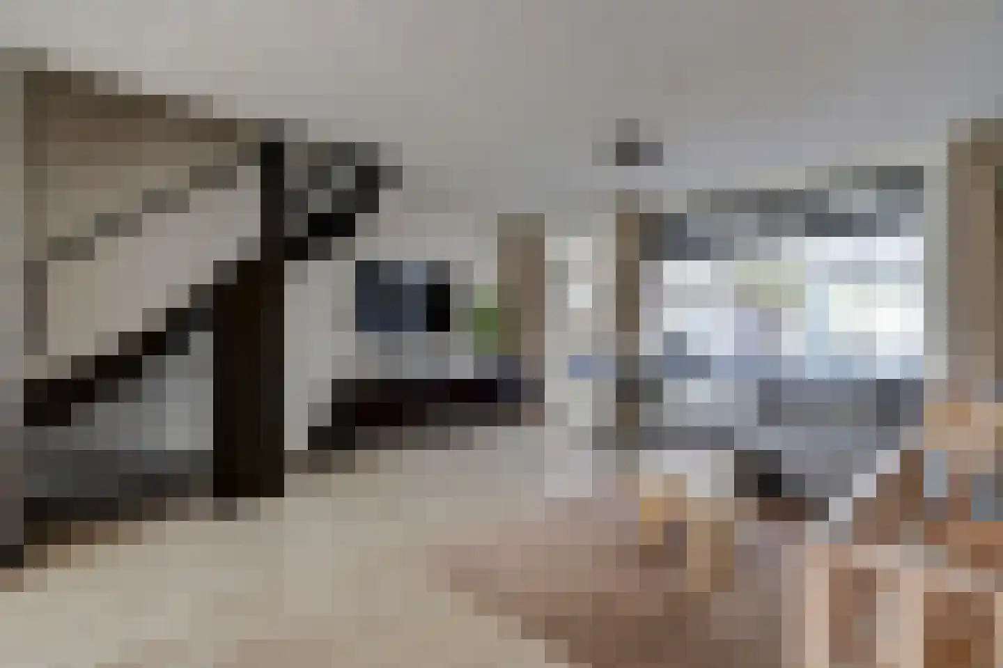 Rhijnauwensingel 95 Rotterdam thumbnail 7