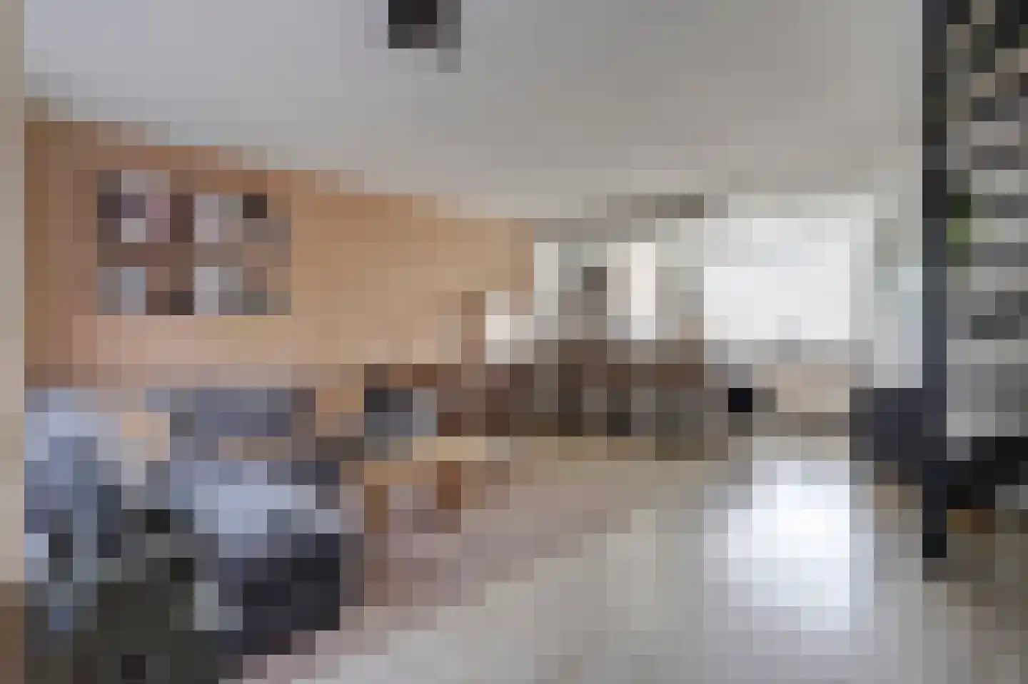 Rhijnauwensingel 95 Rotterdam thumbnail 8