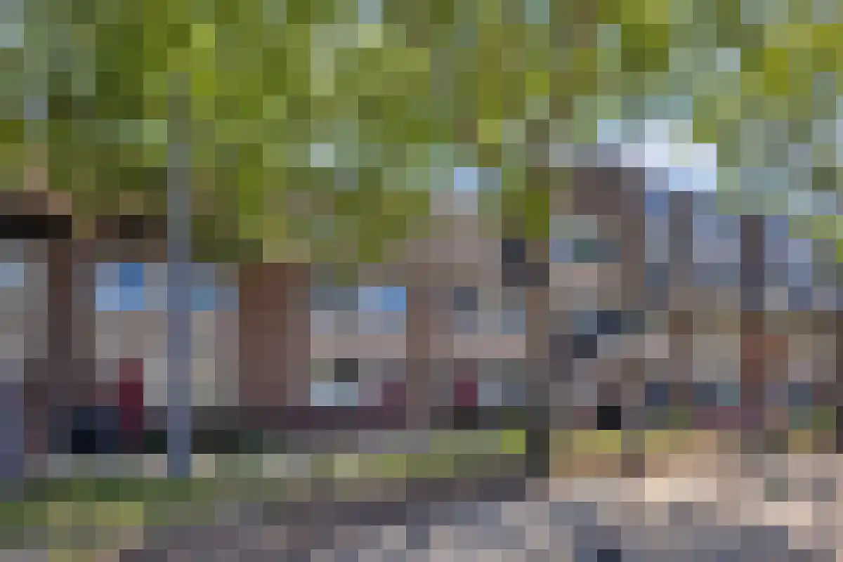 Rhijnauwensingel Rotterdam thumbnail 5