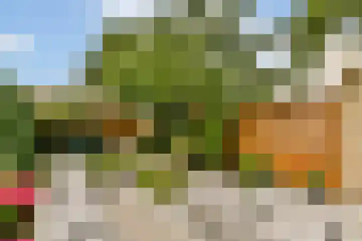 Rhijnestein 102 Landsmeer thumbnail 10