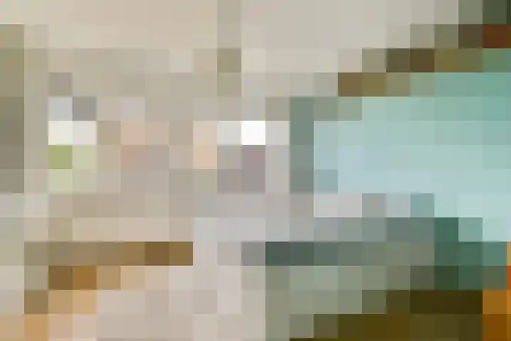 Rhijnestein 102 Landsmeer thumbnail 15