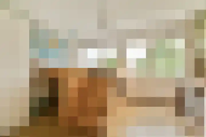 Rhijnestein 102 Landsmeer thumbnail 19