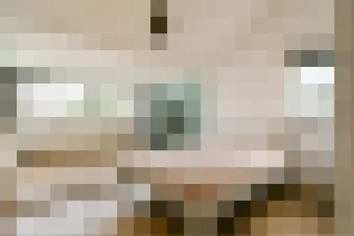 Rhijnestein 102 Landsmeer thumbnail 21