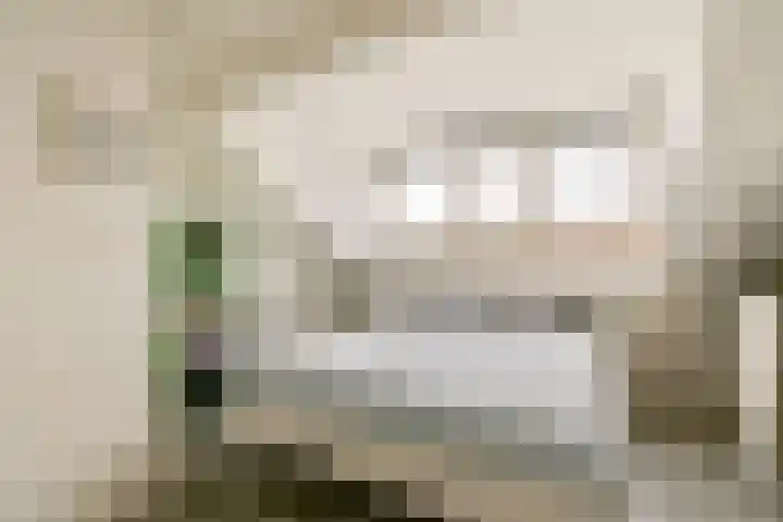 Rhijnestein 102 Landsmeer thumbnail 23