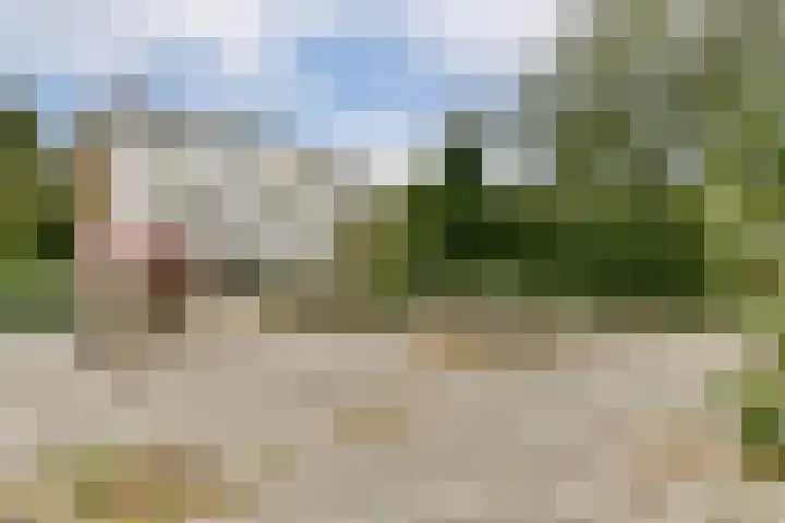 Rhijnestein 102 Landsmeer thumbnail 26