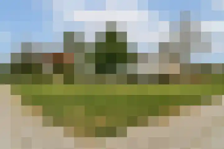 Rhijnestein 102 Landsmeer thumbnail 27
