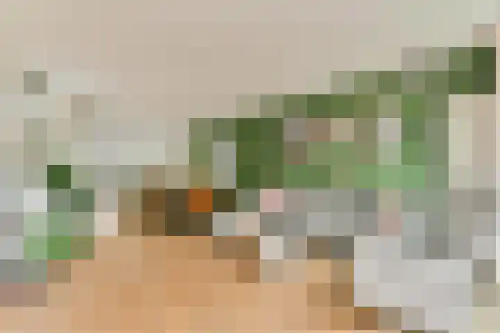 Rhijnestein 102 Landsmeer thumbnail 4