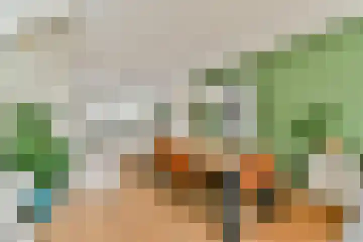 Rhijnestein 102 Landsmeer thumbnail 5