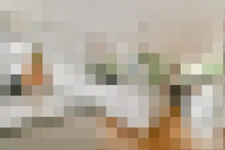 Rhijnestein 102 Landsmeer thumbnail 6