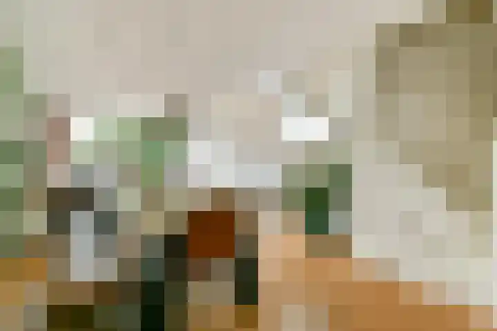 Rhijnestein 102 Landsmeer thumbnail 8