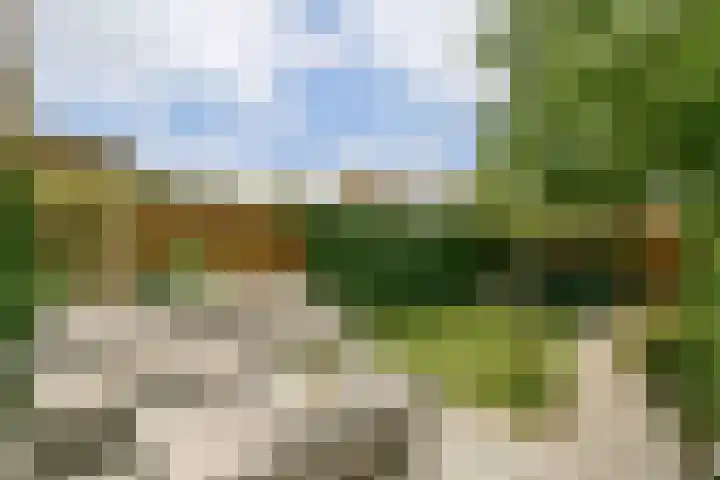 Rhijnestein 102 Landsmeer thumbnail 9