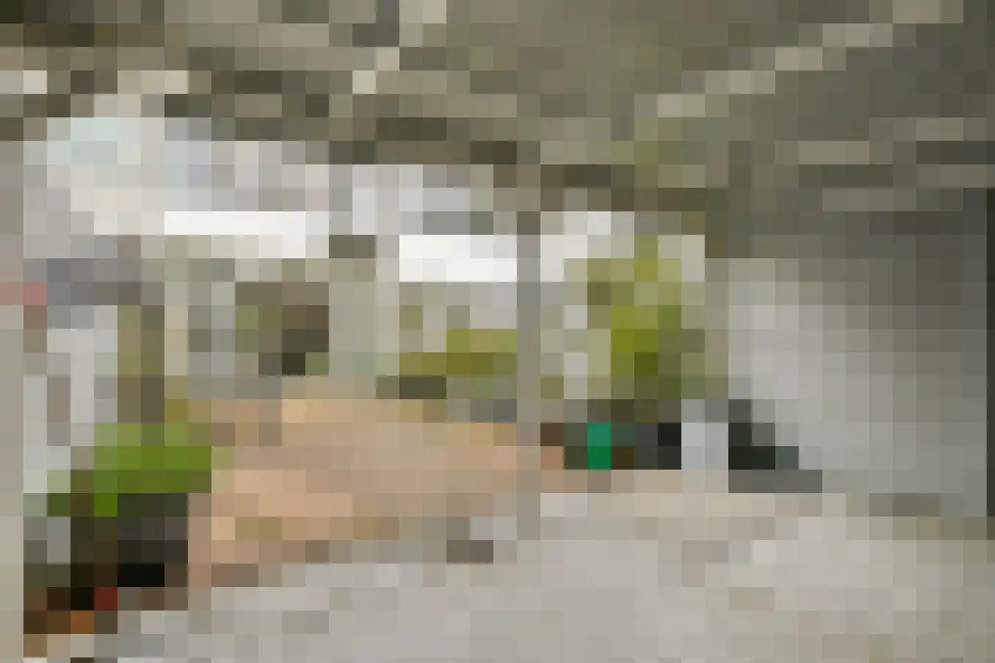 Rhijnestein 16 Landsmeer thumbnail 4