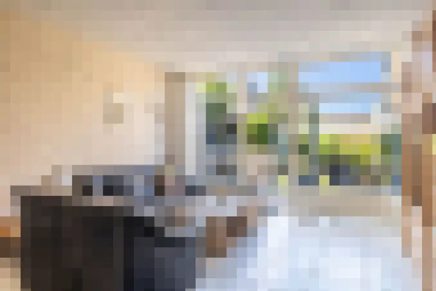 Rhijnestein 54 Landsmeer thumbnail 4