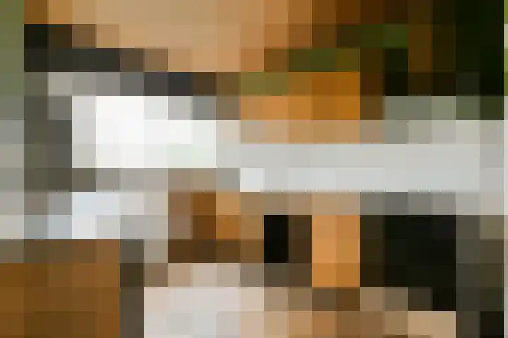 Rhijnestein 63 Landsmeer thumbnail 10
