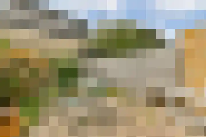 Rhijnestein 63 Landsmeer thumbnail 12