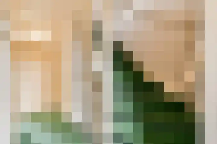 Rhijnestein 63 Landsmeer thumbnail 13