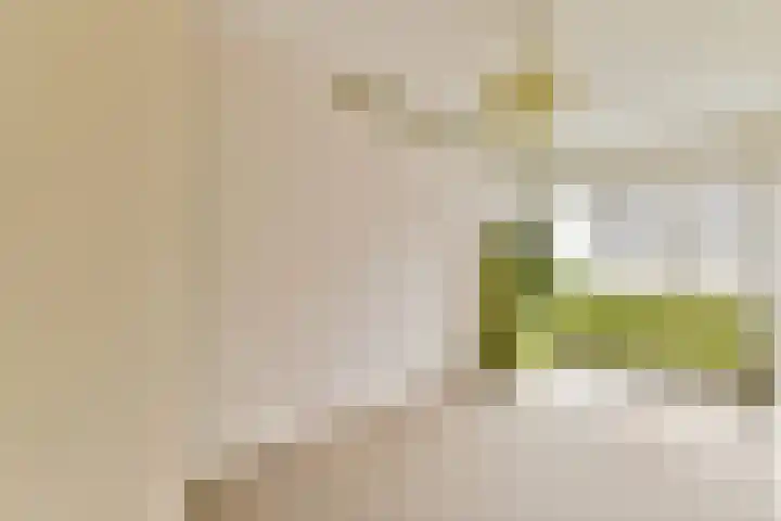 Rhijnestein 63 Landsmeer thumbnail 17