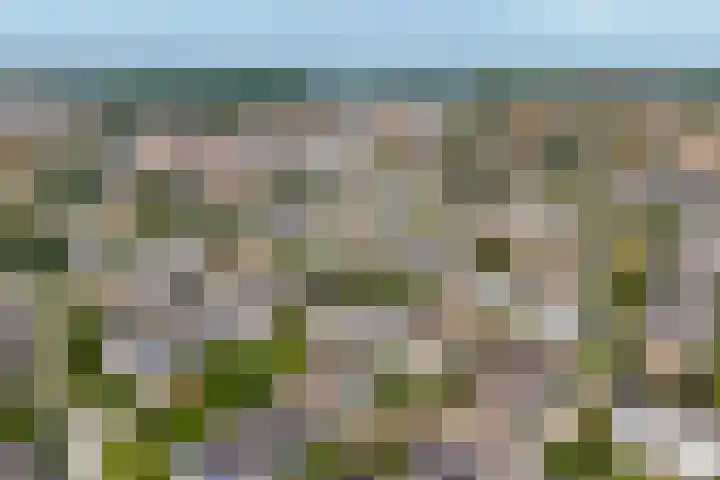 Rhijnestein 63 Landsmeer thumbnail 25