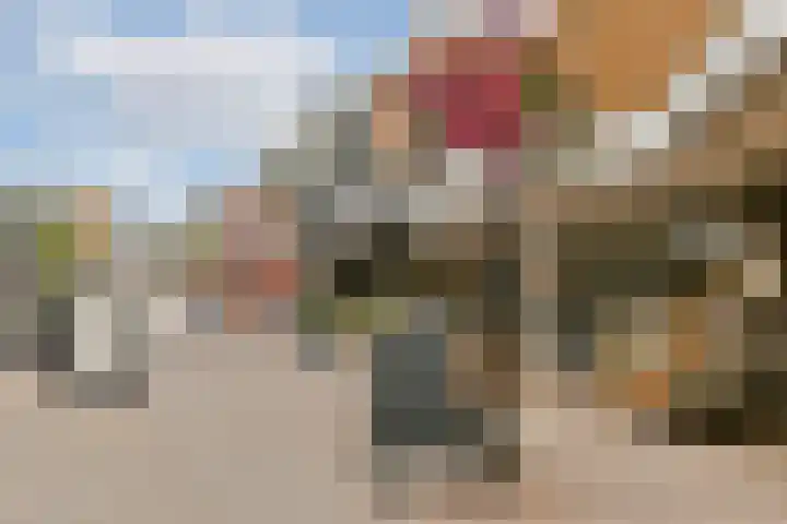 Rhijnestein 63 Landsmeer thumbnail 28