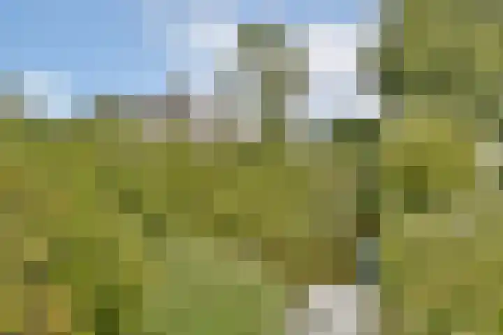 Rhijnestein 63 Landsmeer thumbnail 29