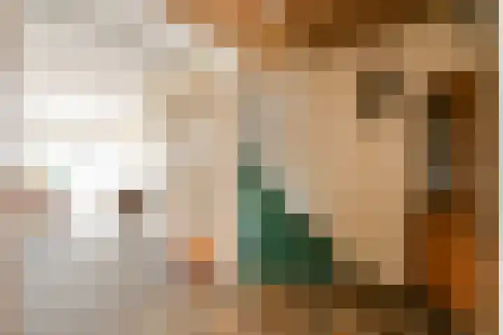 Rhijnestein 63 Landsmeer thumbnail 6