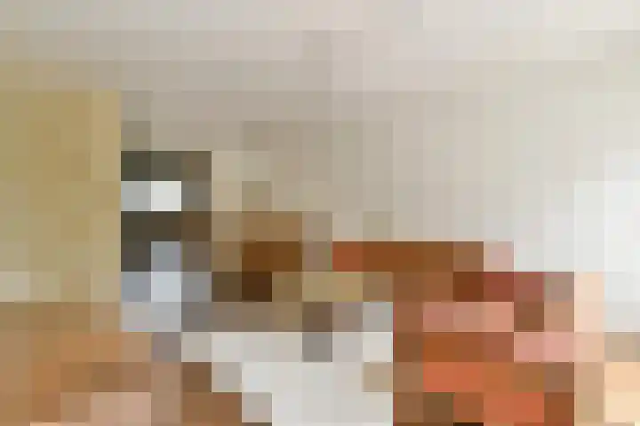 Rhijnestein 63 Landsmeer thumbnail 8