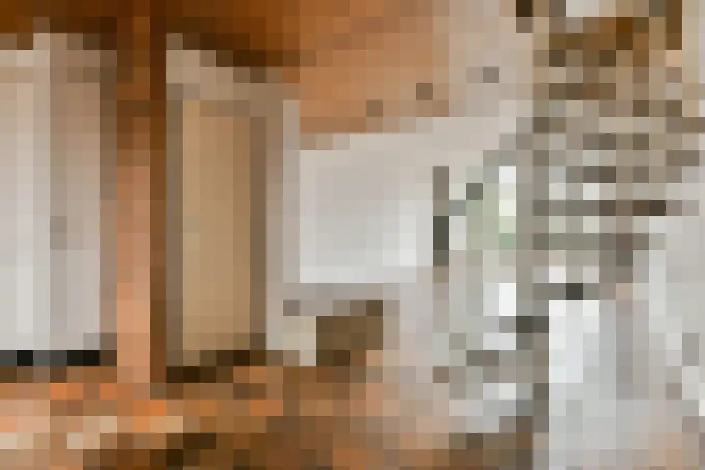 Rhijnestein 83 Landsmeer thumbnail 4