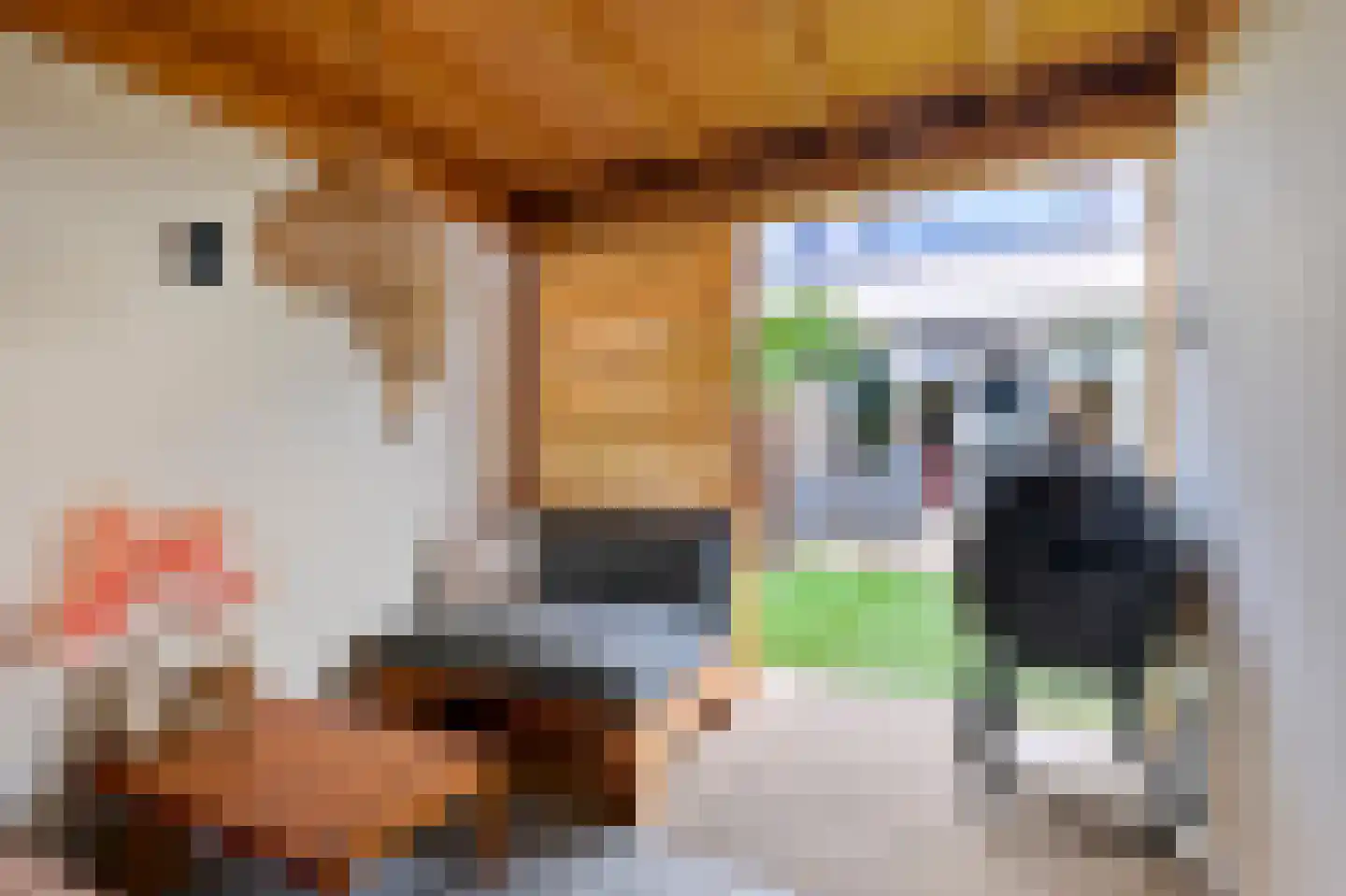 Rhijnestein 88 Landsmeer thumbnail 34