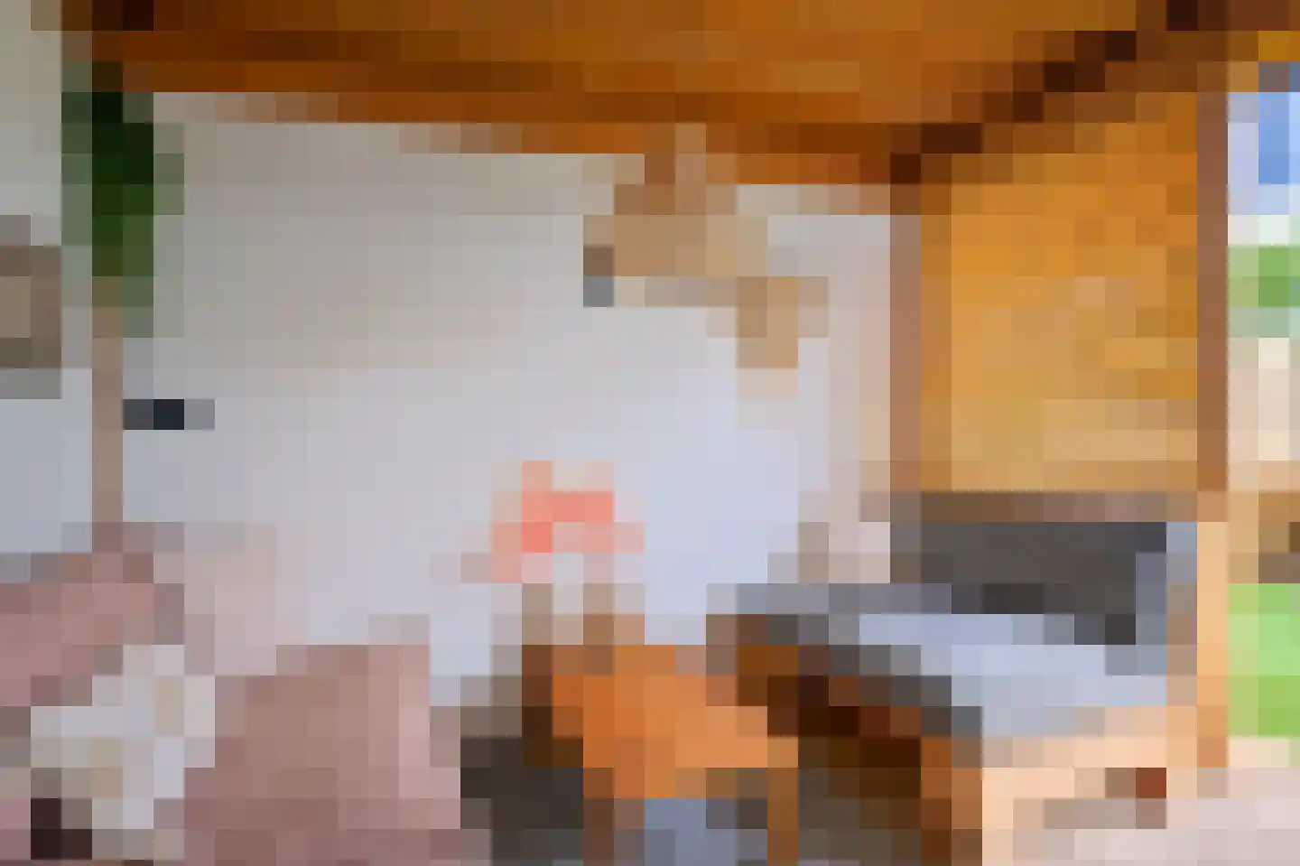 Rhijnestein 88 Landsmeer thumbnail 7